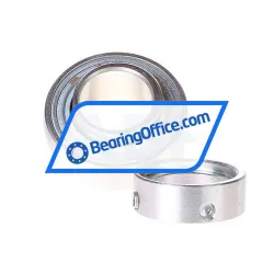 INA GRAE25-XL-NPP-B-FA125-5 rulman resim 2