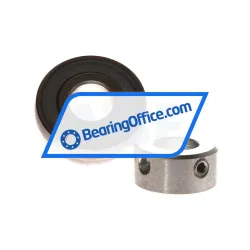 INA RAE15-XL-NPP-B rulman resim 2