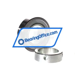 INA RAE45-XL-NPP-FA106 rulman resim 2