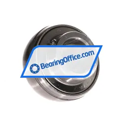 INA GYE20-KRR-B-FA107-VA-HLA rulman resim 2