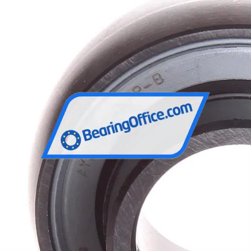 INA AY30-XL-NPP-B bearing image 2