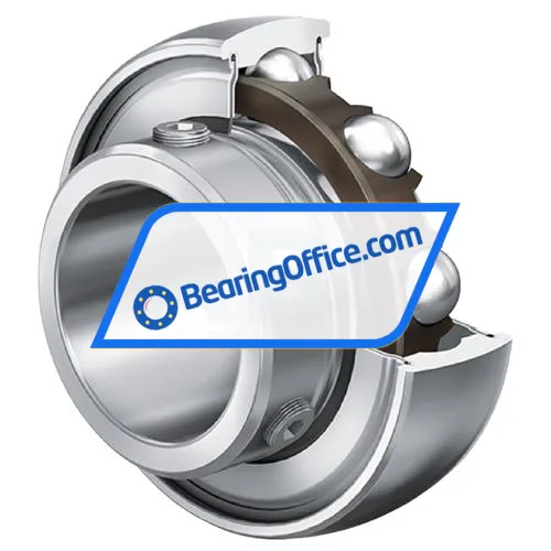 INA AY17-NPP-B bearing image 4