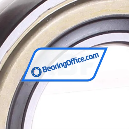 INA 209-NPP-B bearing image 2