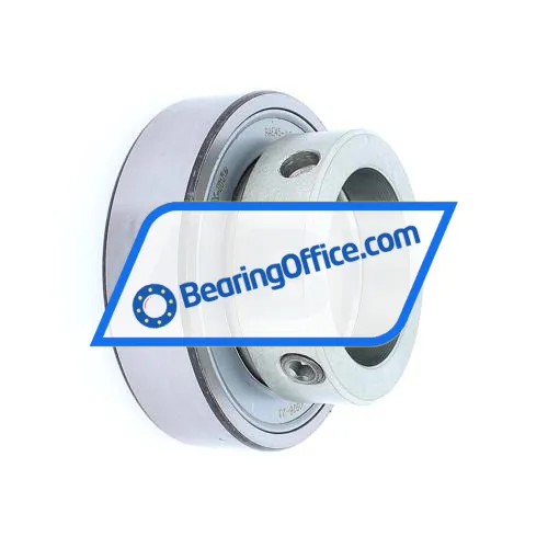 INA RAE45-NPP-FA106 bearing image 2