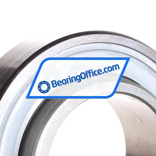 INA RAE60-NPP bearing image 2