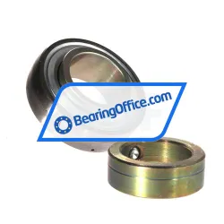 INA GRA107-NPP-B-AS2/V rulman resim 2