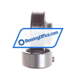 INA RAE17-NPP-FA106 rulman resim 2