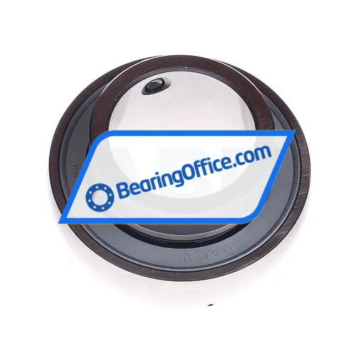 INA GAY45NPPB bearing image 2