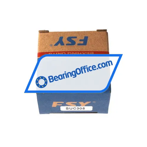 FSY SUC305  (China) bearing image 4