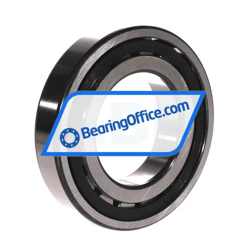 FAG 20213-TVP bearing image 2