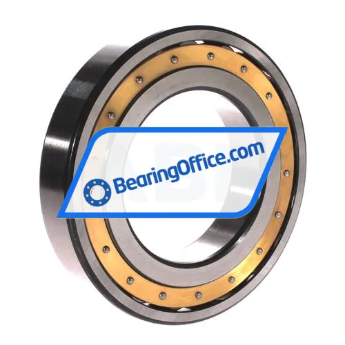 FAG 20217-MB bearing image 2