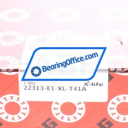 FAG 22313-E1-XL-T41A rulman resim 7