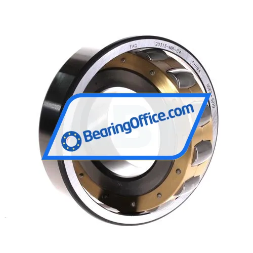 FAG 20313-MB-C4 bearing image 2