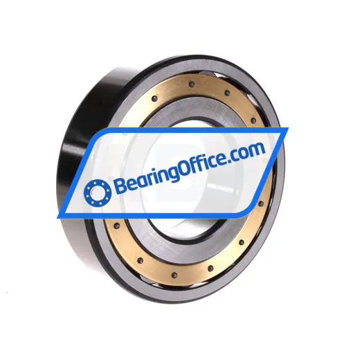 FAG 20313-MB-C4 bearing image 3
