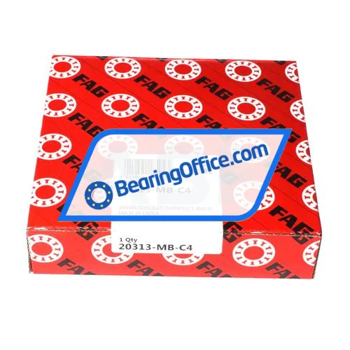FAG 20313-MB-C4 bearing image 4