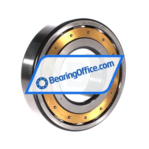 FAG 20313-MB-C3 bearing image 2