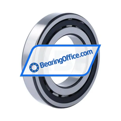 FAG 20213T bearing image 2