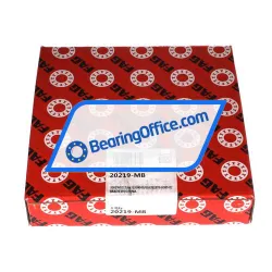 FAG 20219-MB