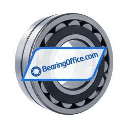 RHP 22319EKJW33 rulman resim 2