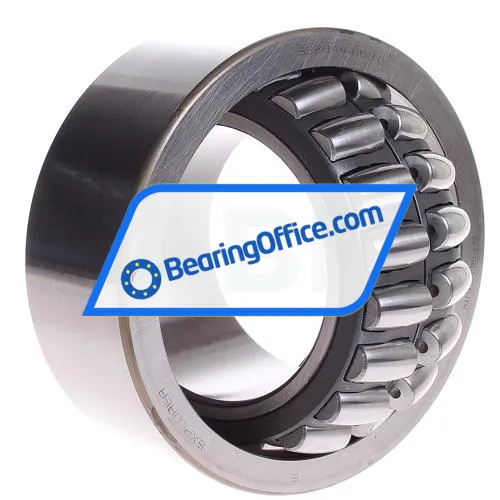 SKF BS2B444169C bearing image 3