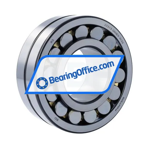 Rollway 22313GMEX W33