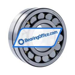 Rollway 22313GMEX W33