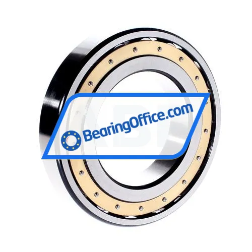 FAG 20217MB bearing image 3