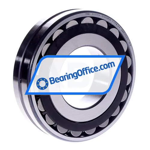 FAG 21313E1K-TVPB-C3