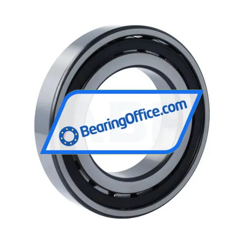 SKF 20216TN9 bearing image 2