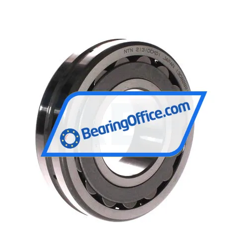 NTN 21310CK D1
