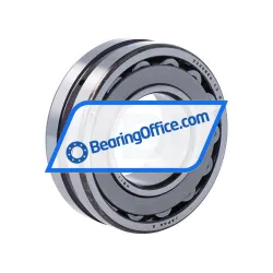 NSK 22206CK E4 C3 S11