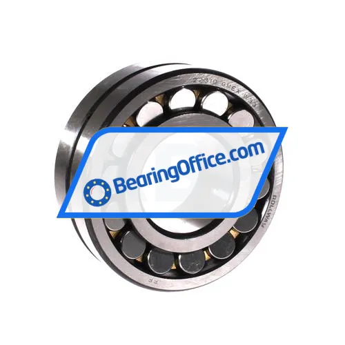 Rollway 22310 GMEX W33 C3