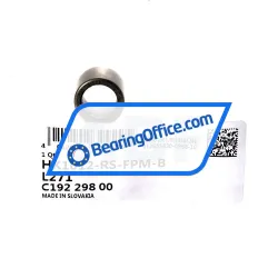 INA HK1012-RS-FPM-B-L271