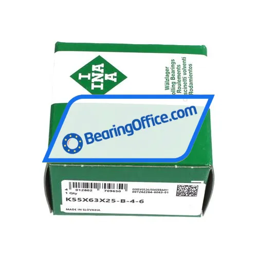 INA K55X63X25-B/4-6 bearing image 3