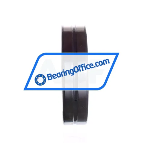 INA NKIS100 bearing image 4