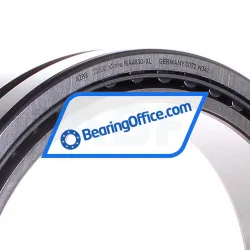 INA NA4830-XL rulman resim 2