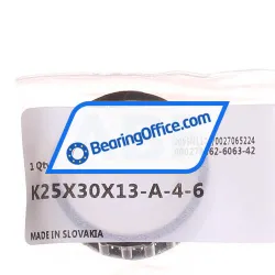 INA K25X30X13-A/-4-6 rulman resim 2