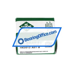 INA HK3012-AS1-B rulman resim 3