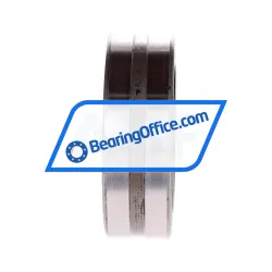 SKF NA4909 rulman resim 2