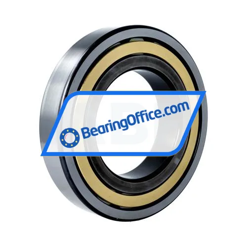 FAG NJ220-E-M1 bearing image 2