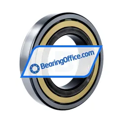 FAG NJ220-E-M1 rulman resim 2