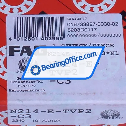 FAG N214-E-TVP2-C3 bearing image 4