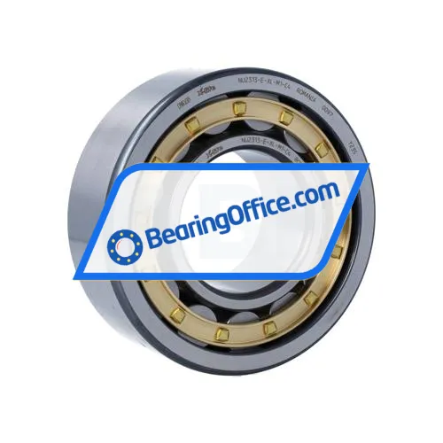 FAG NU2313-E-XL-M1-C4