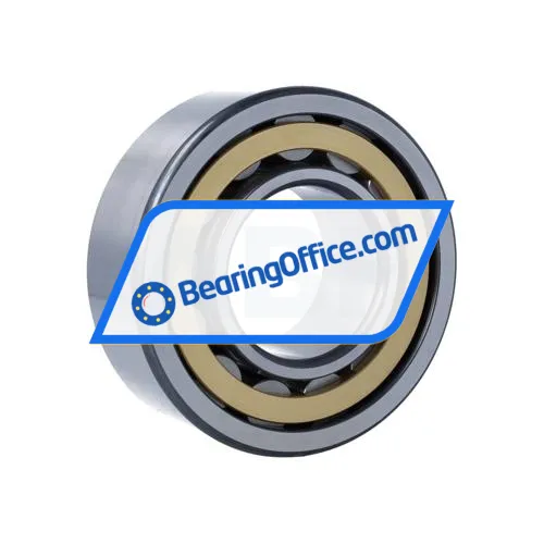 FAG NU2313-E-XL-M1-C4 bearing image 2