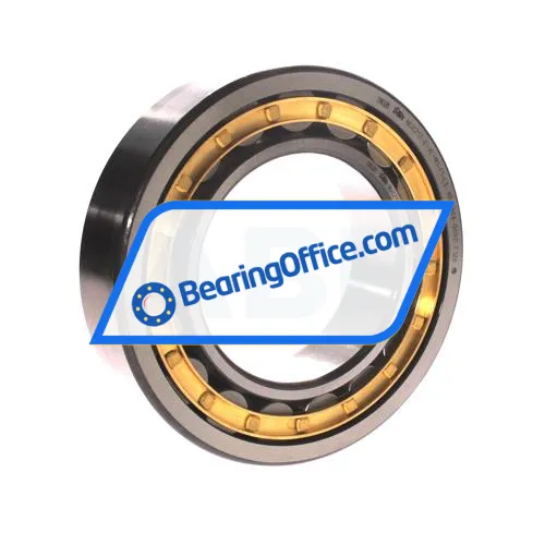 FAG NU2217-E-XL-M1-F1-C3