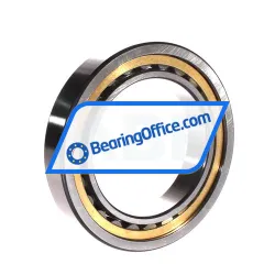 FAG NU1015-XL-M1A rulman resim 2