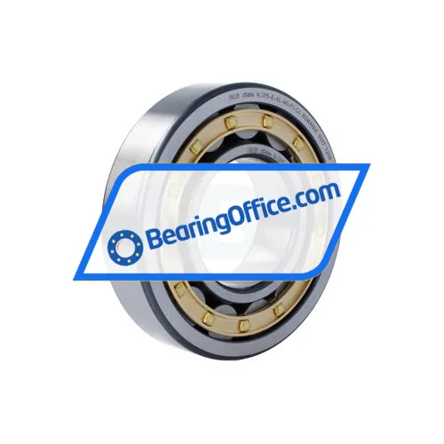 FAG NJ315-E-XL-M1-F1-C4