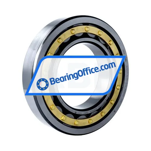 FAG NU221-E-XL-M1-F1-C4