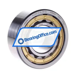 FAG NJ2309-E-XL-M1-C4