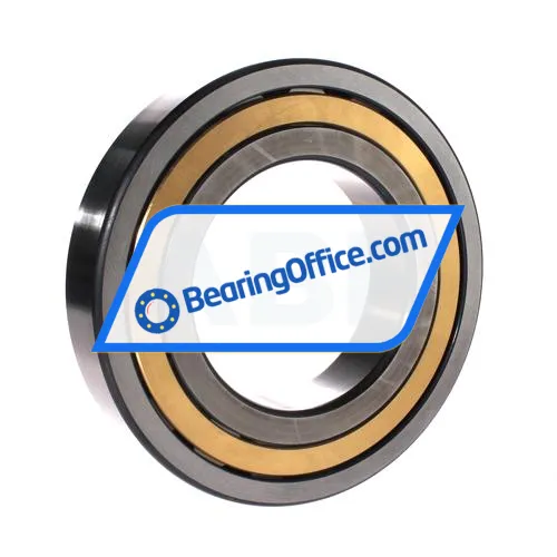 FAG NJ222-E-XL-M1-C3 bearing image 2